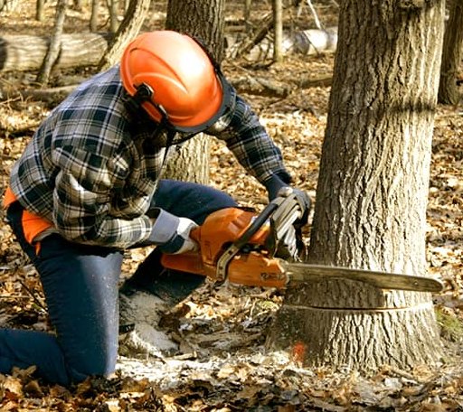 Tree Removal in Attica, KS